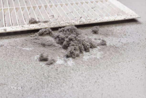 Best HVAC Air Duct Cleaning  in Roessleville, NY